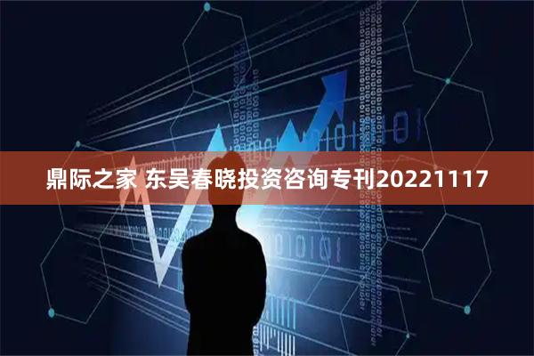鼎际之家 东吴春晓投资咨询专刊20221117