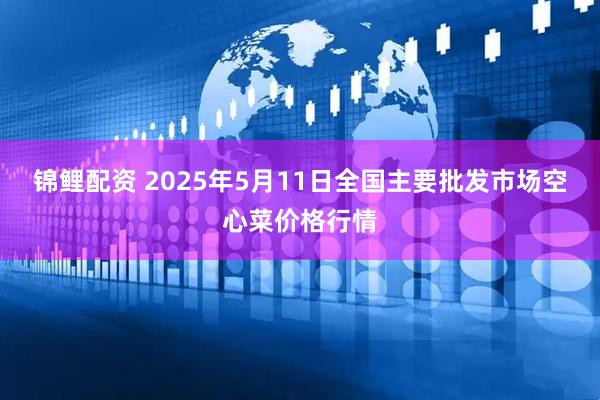 锦鲤配资 2025年5月11日全国主要批发市场空心菜价格行情