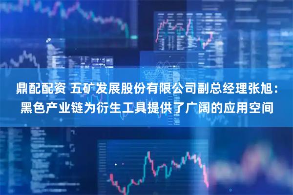 鼎配配资 五矿发展股份有限公司副总经理张旭：黑色产业链为衍生工具提供了广阔的应用空间
