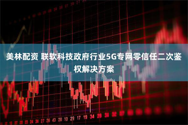 美林配资 联软科技政府行业5G专网零信任二次鉴权解决方案
