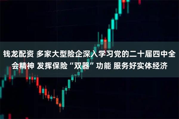 钱龙配资 多家大型险企深入学习党的二十届四中全会精神 发挥保险“双器”功能 服务好实体经济